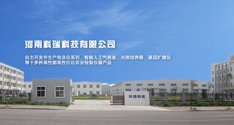 333-http://www.3wservice.cn/uploadfile/202209/e03d126c589b6fe.jpg