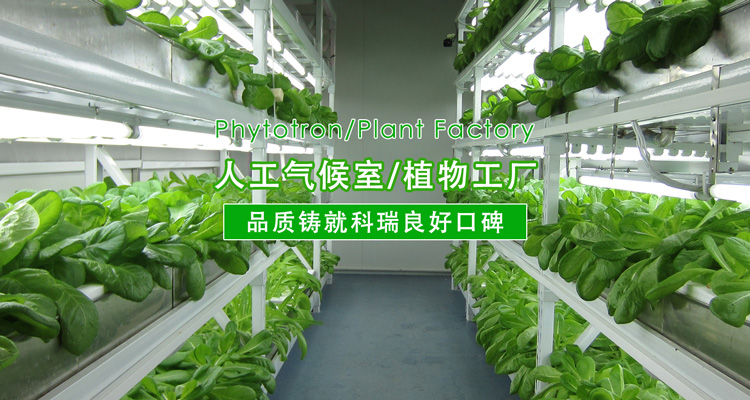 2-http://www.3wservice.cn/uploads/190724/1-1ZH416094V41.jpg